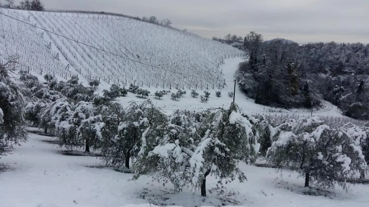 Podere Riosto Cantina&Agriturismo Pianoro