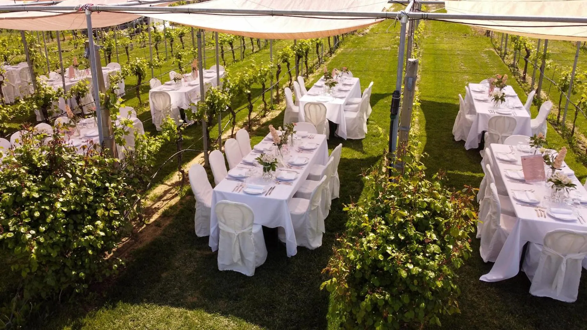Podere Riosto Cantina&Agriturismo Pianoro Farm stay