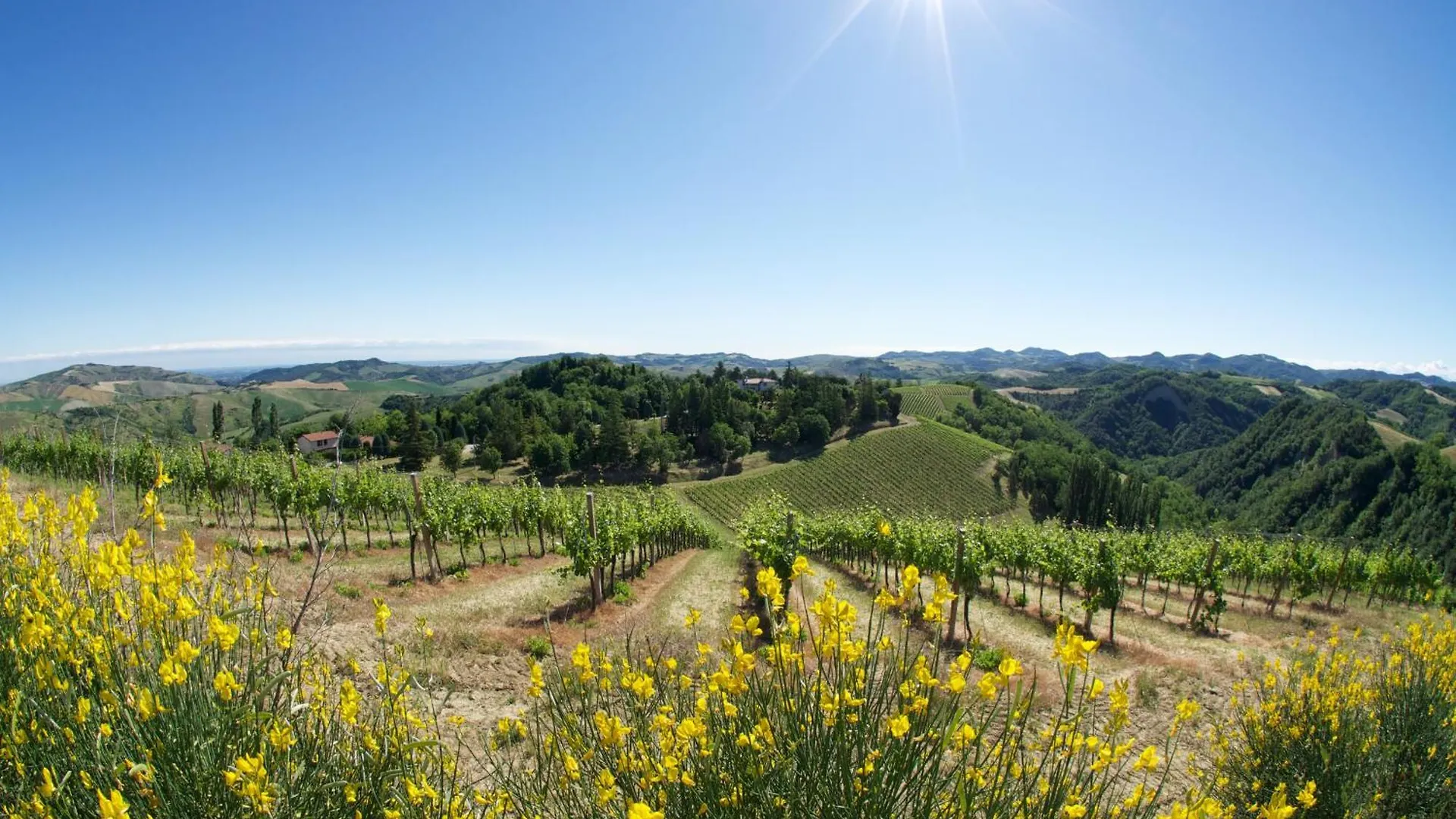 Podere Riosto Cantina&Agriturismo Pianoro Italy