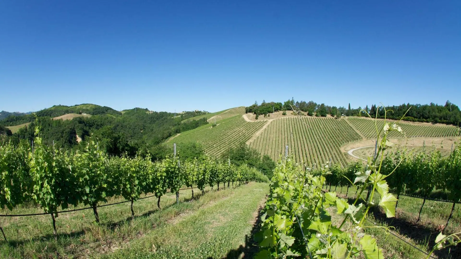 Podere Riosto Cantina&Agriturismo Pianoro 0*,  Italy