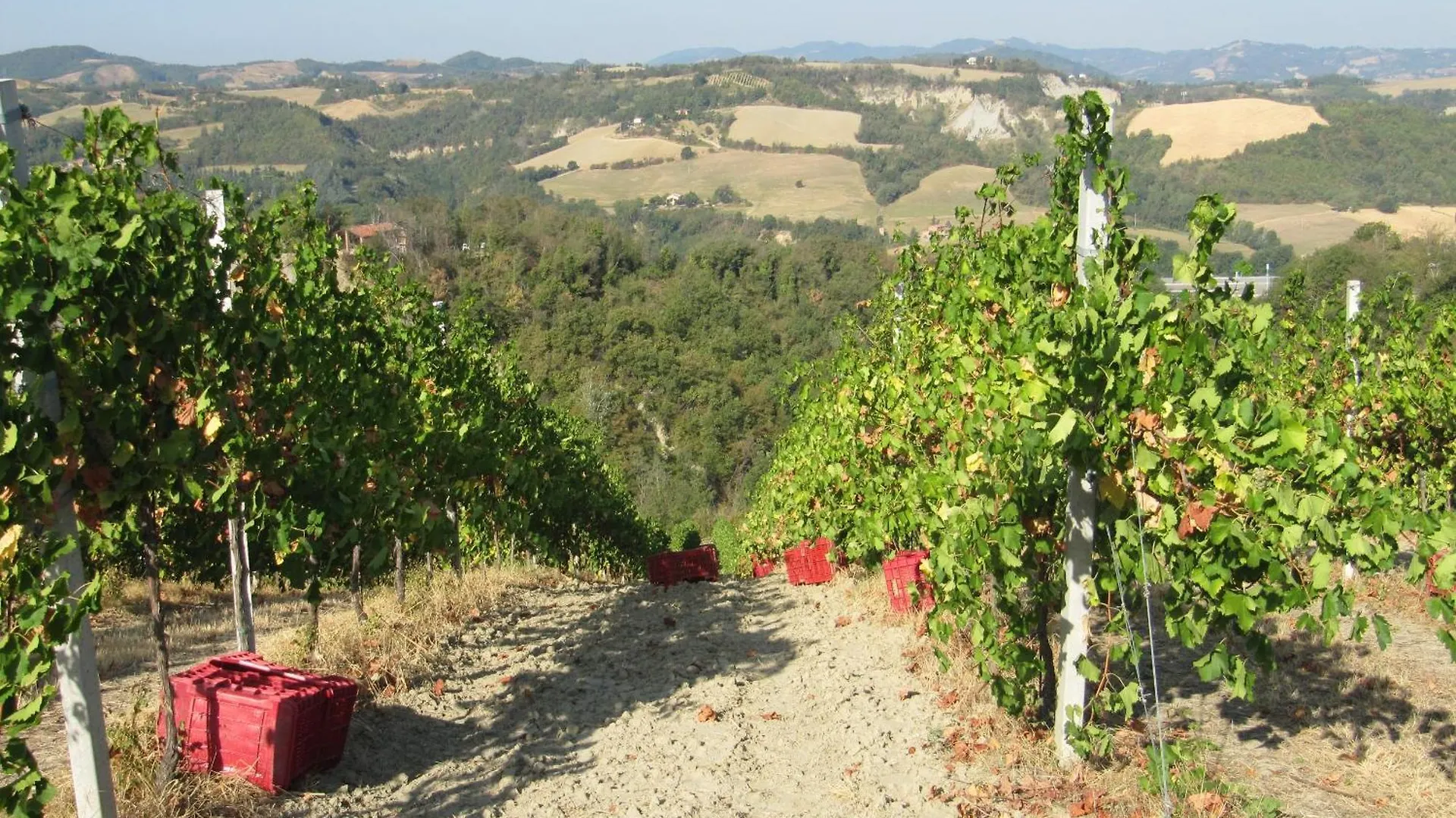 Podere Riosto Cantina&Agriturismo 피아노로 0*,  이탈리아