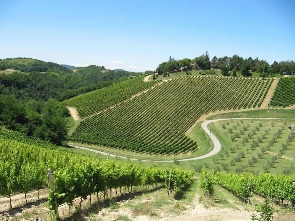 Podere Riosto Cantina&Agriturismo 피아노로 팜스테이